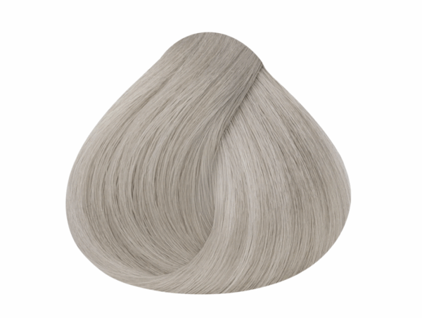 NATURAL - 10.1 RUBIO EXTRA CLARO CENIZO 60 ML - Imagen 2